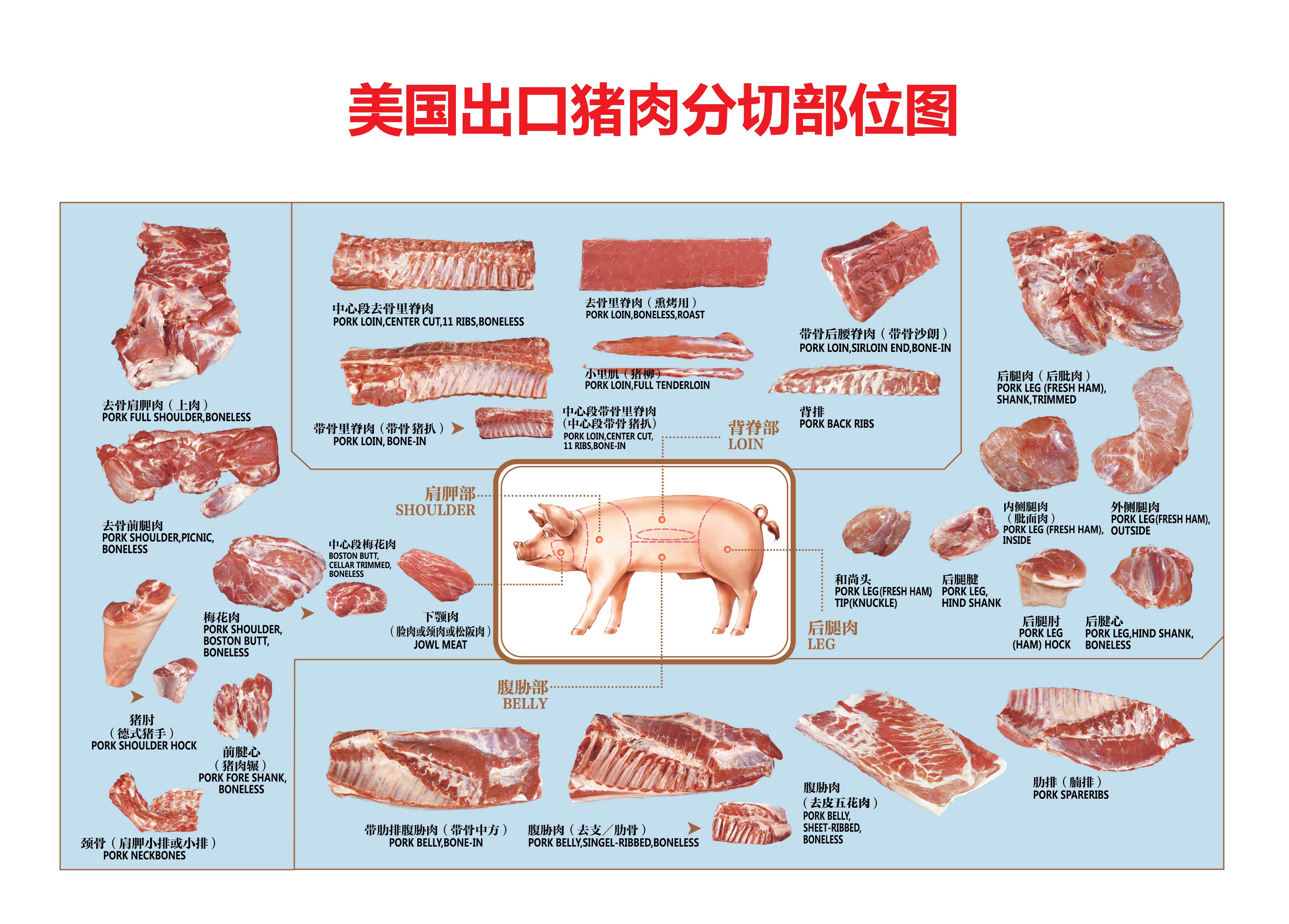 新鲜的大块猪肉图片素材_免费下载_jpg图片格式_高清图片500021454_摄图网